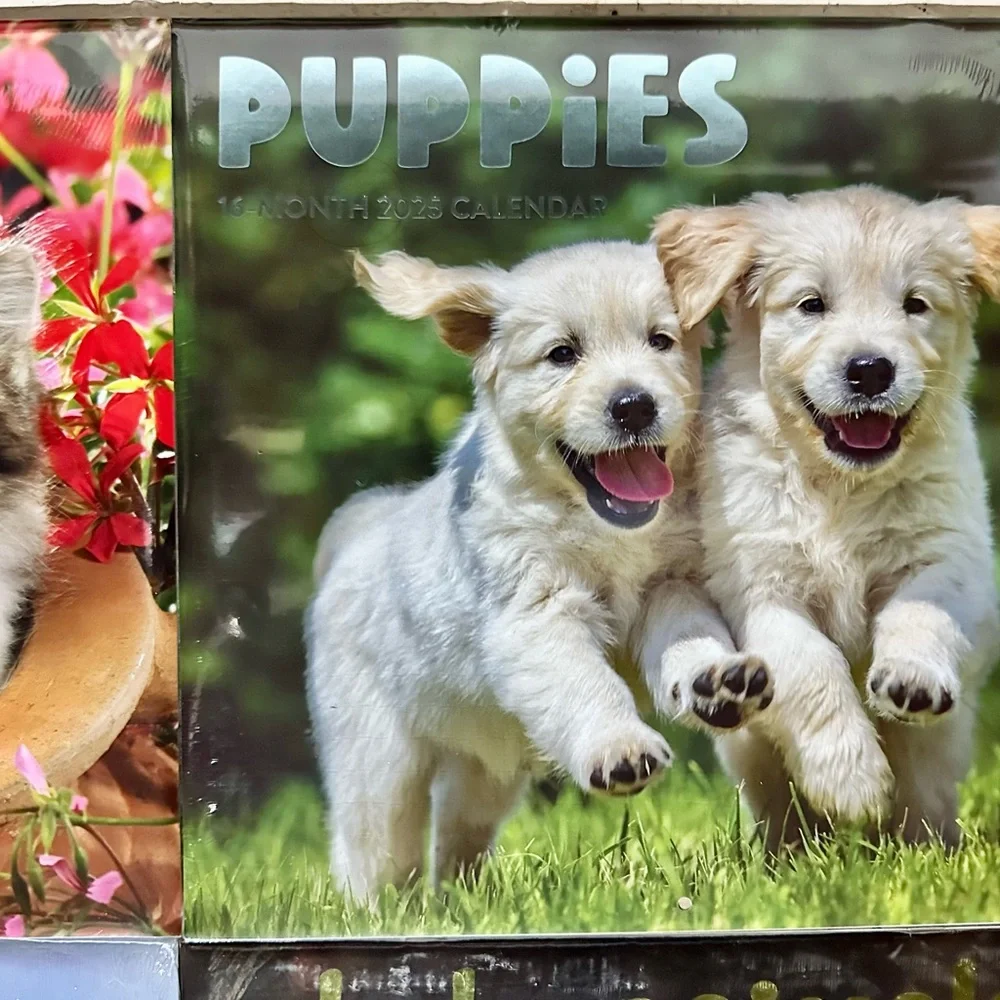 Adorable Animal 2025 Calendar Bundle – Kittens, Puppies, Horses & Baby Animals